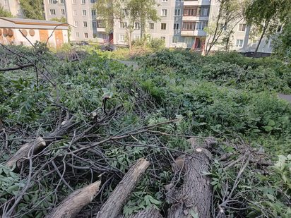 Начало выполнения программы добрых дел в Новоильинском районе